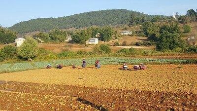 Kalaw