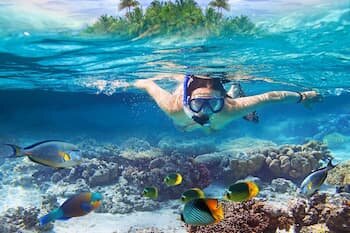 House reef snorkeling