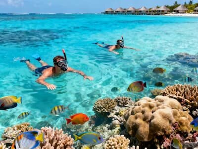 Snorkeling on the house reef at Angsana Velavaru