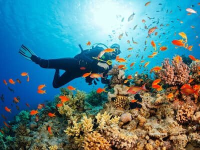 Diver exploring a South Nilandhe Atoll reef