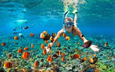 Guided snorkeling boat trip from Brennia Kottefaru