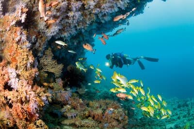 Diver at a Lhaviyani Atoll wreck site near Cocoon Maldives